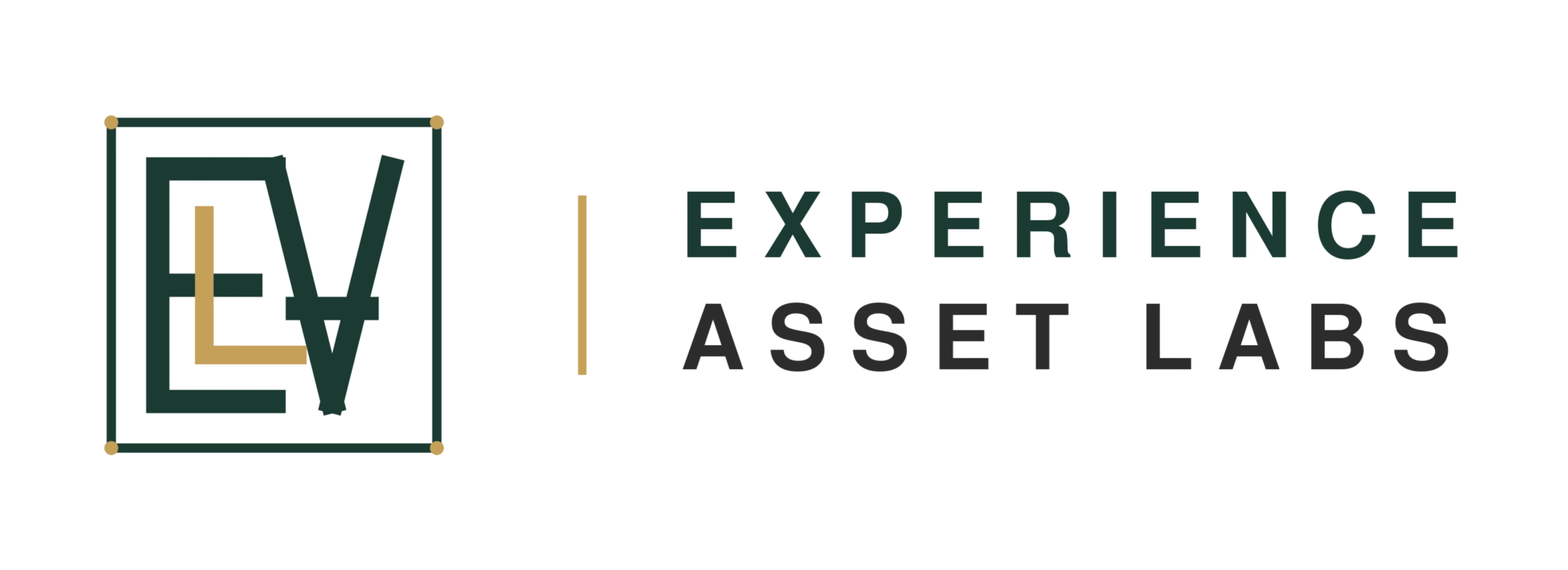experienceassetlabs.com